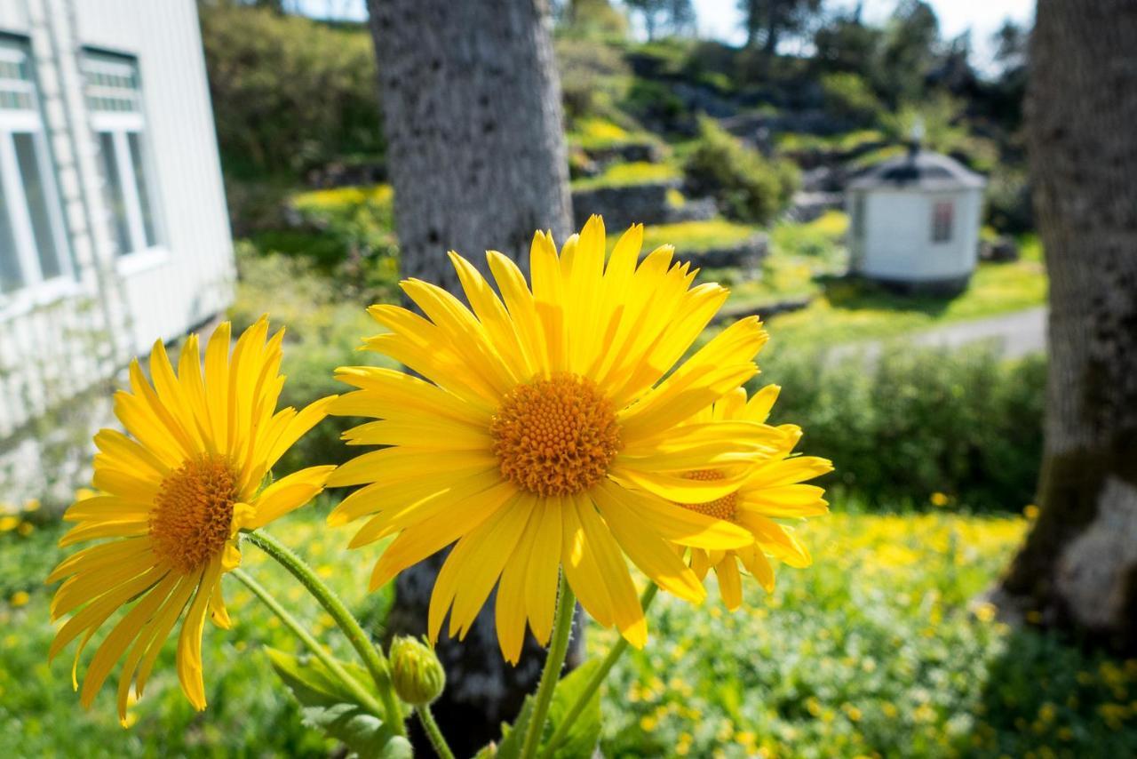 Lofoten Sommerhotell Og Vandrerhjem Kabelvag Ngoại thất bức ảnh